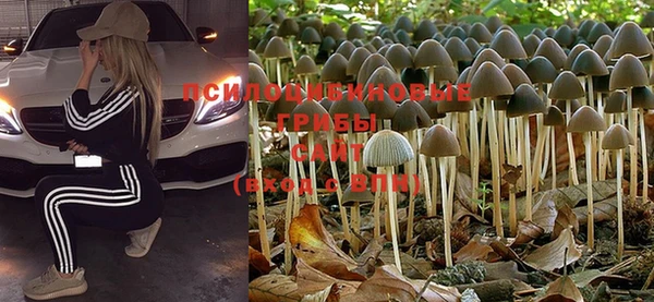 таблы Аркадак